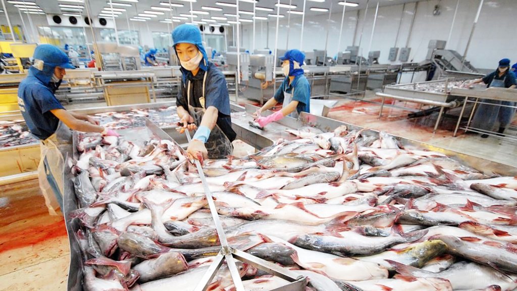DOANH NGHIỆP XUẤT KHẨU NÊN LÀM GÌ TỪ BÂY GIỜ?