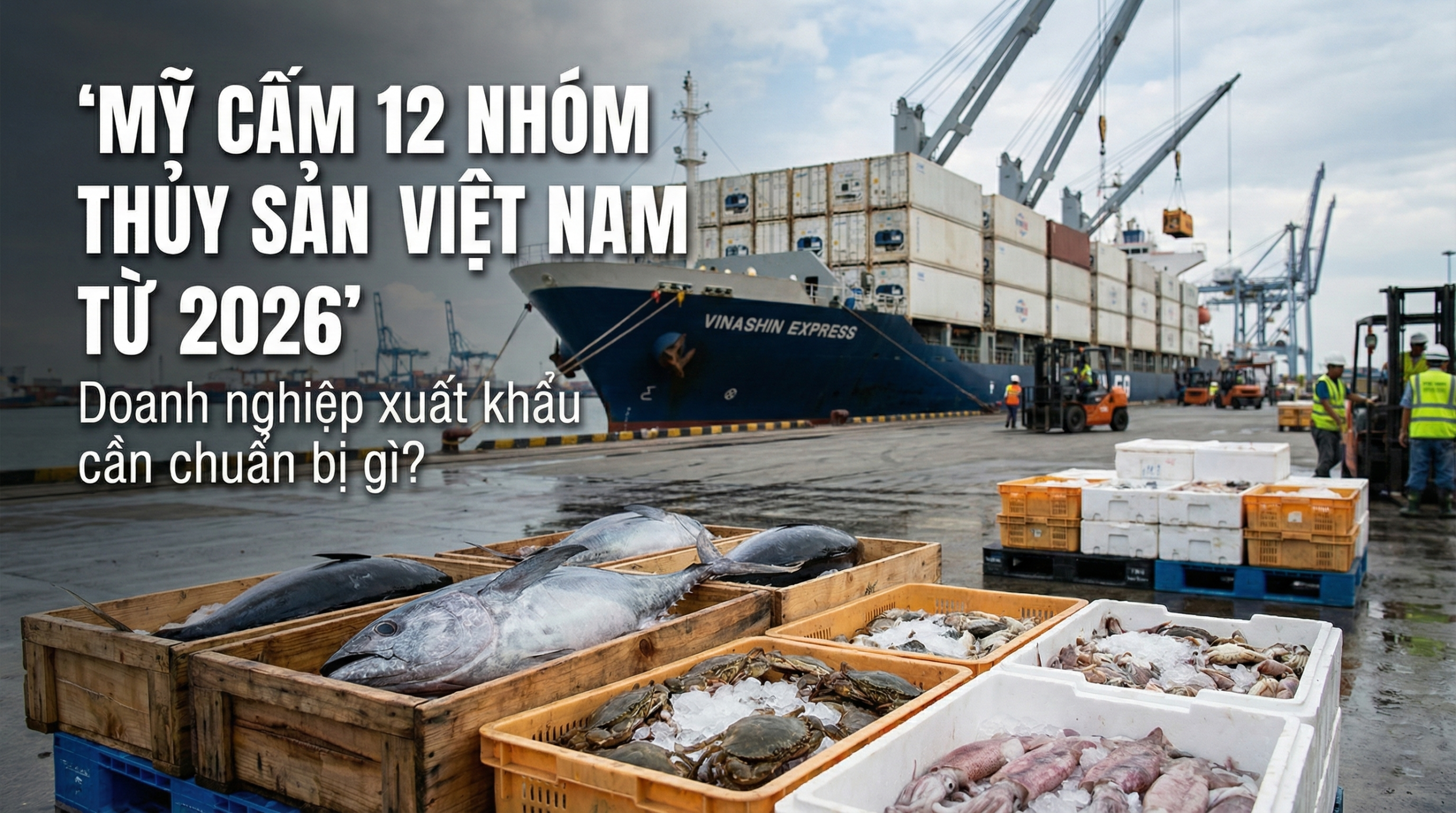 Mỹ cấm nhập khẩu 12 nhóm thủy sản Việt Nam từ 2026